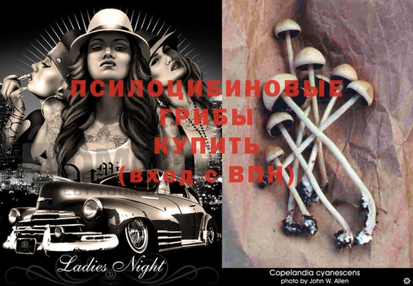прущий лед Бородино