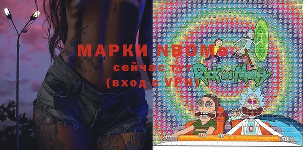 прущий лед Бородино