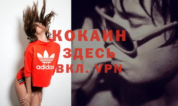 прущий лед Бородино
