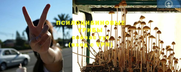 прущий лед Бородино