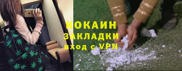 прущий лед Бородино